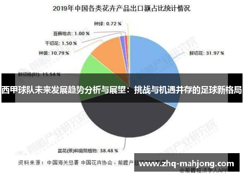 西甲球队未来发展趋势分析与展望：挑战与机遇并存的足球新格局