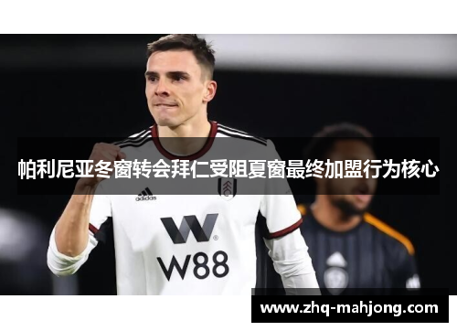 帕利尼亚冬窗转会拜仁受阻夏窗最终加盟行为核心